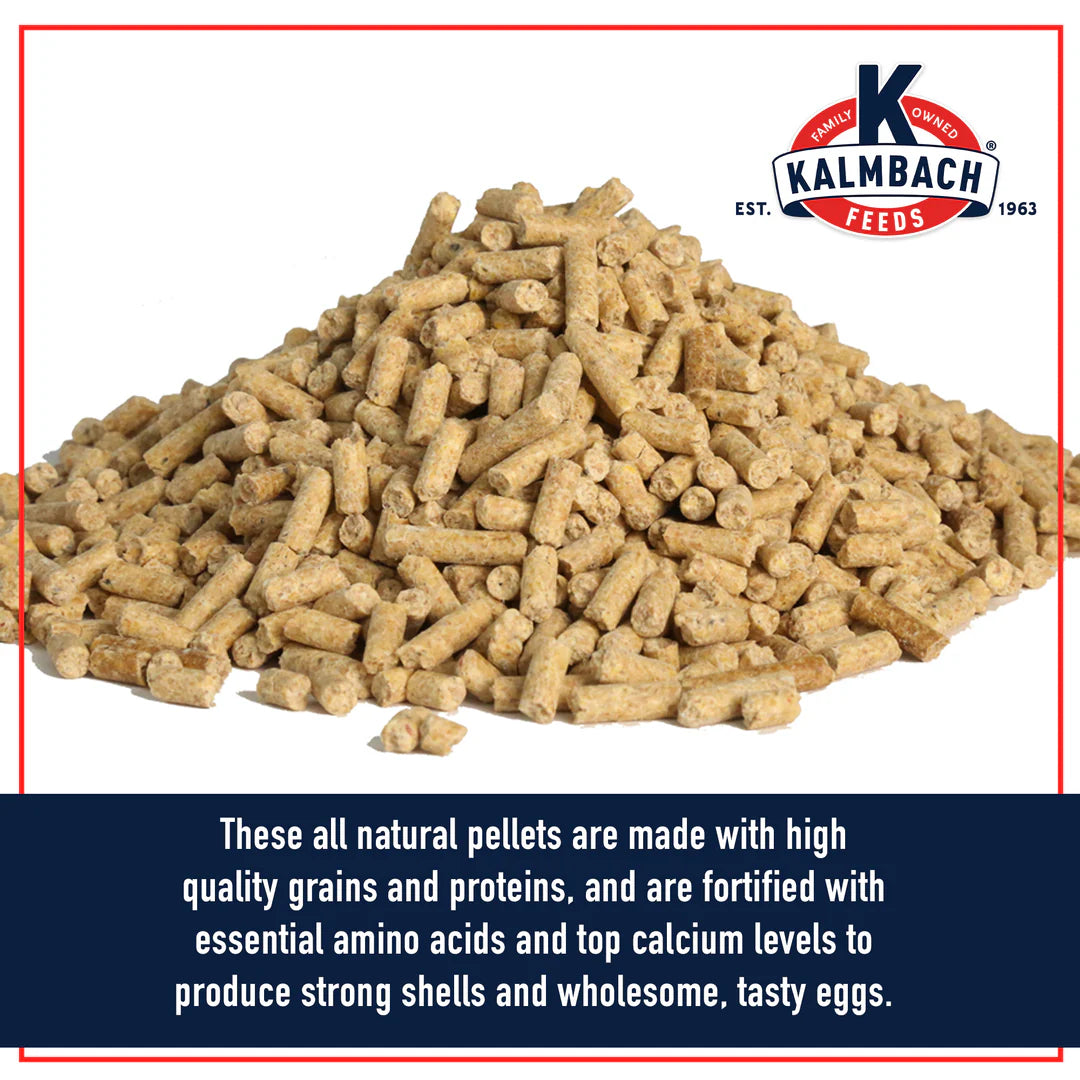 17% All Natural Layer Pellets for Chickens 50Lb