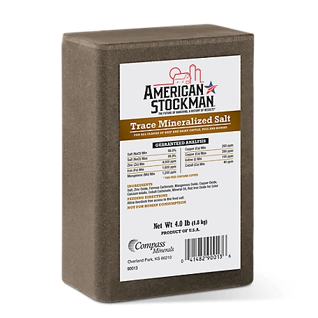 TRACE MINERAL BRICK