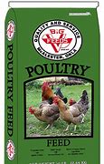 Big V 16% Egg Kernels 50Lb