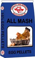 Big V 16% Egg Pellet 50Lb