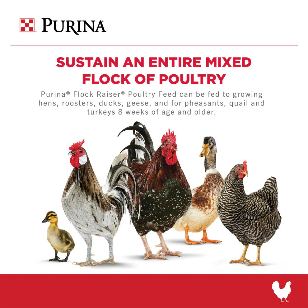 Purina Flock Raiser Crumbles