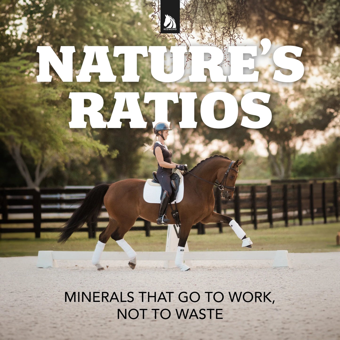 Daily Red Crushed – Natural Mineral Supplement for Horses