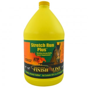 STRETCH RUN
