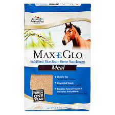 MAX E GLO