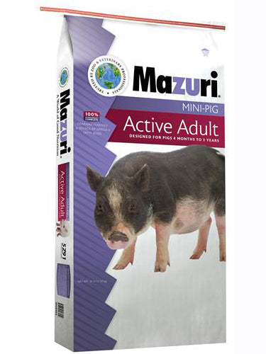 MINI PIG ACTIVE ADULT