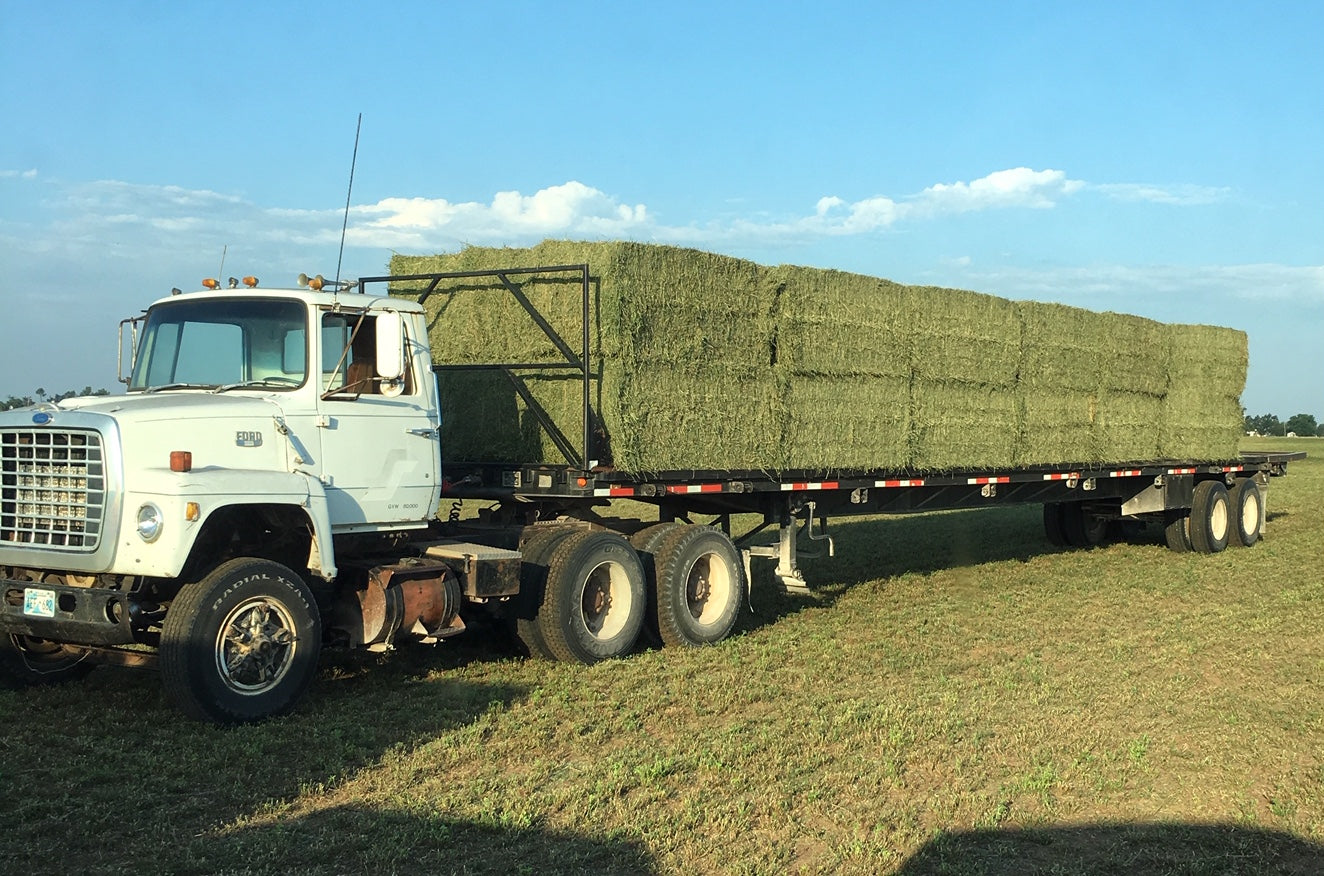 Our Alfalfa is recommended for horses that have a balanced exercise program; it is an excellent source of energy.