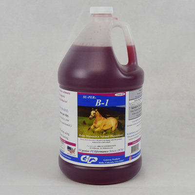Su-per B1 Supplement