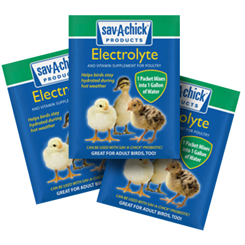 Sav-A-Chick Electrolyte & Vitamin