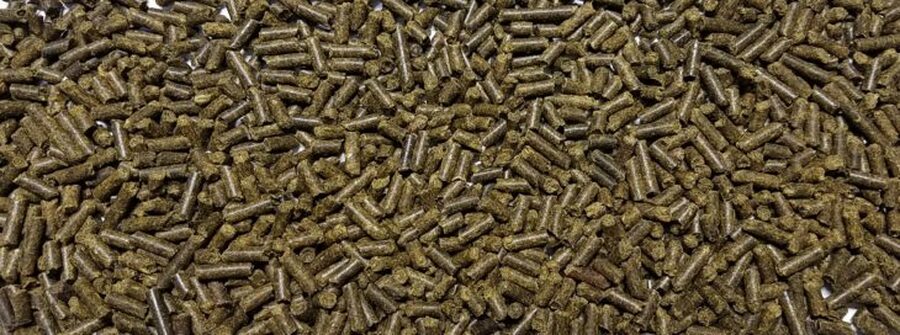 Horseman’s Elite Mare & Foal is a high fat pelleted feed designed for pregnant, lactating and growing horses. This larger pellet is in a 5/16" nugget size, and is designed to provide quality protein and calories along with prebiotics, probiotics, and balanced vitamin & mineral levels.