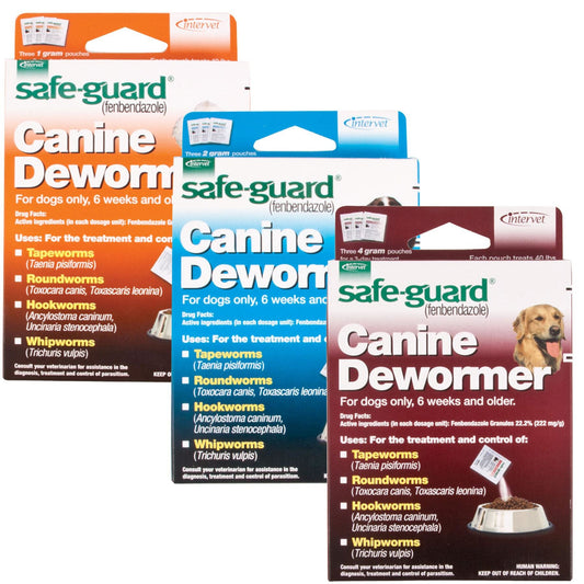 Best Dewormer for Dogs