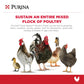 Purina Flock Raiser Crumbles