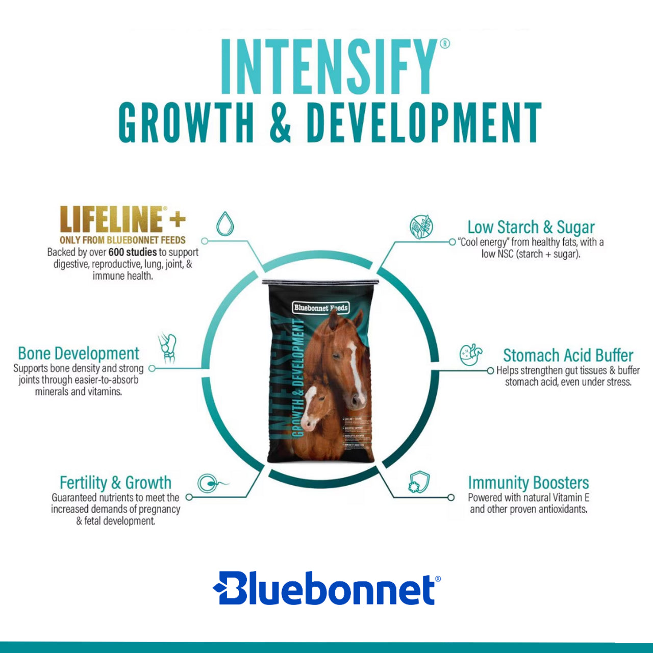 Bluebonnet Intensify Growth and Development 50#