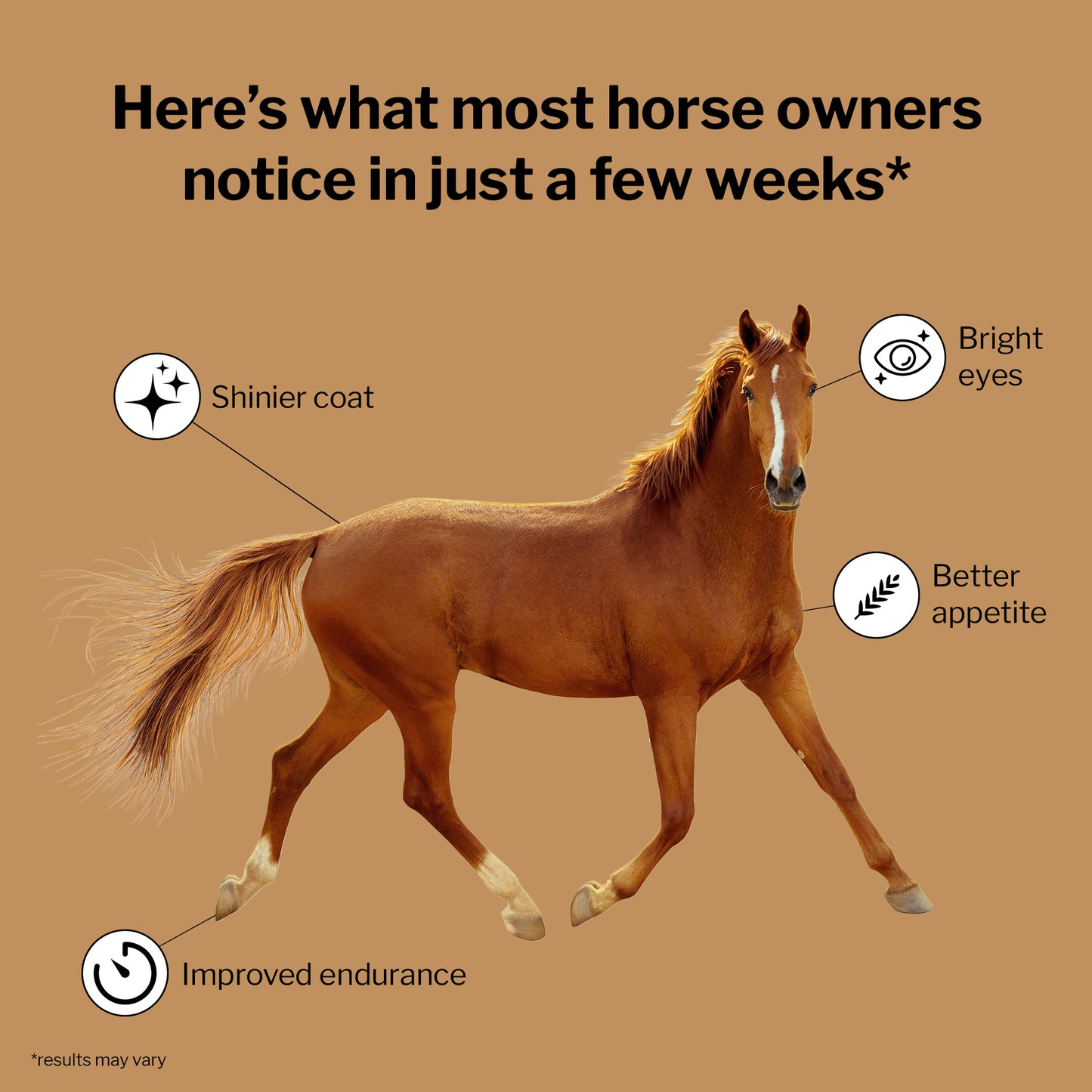 707 Daily Essentials