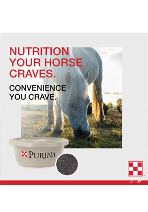 Purina Equi Tub 55LB Horse Lick