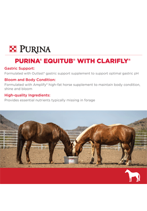 Purina Equi Tub 55LB Horse Lick