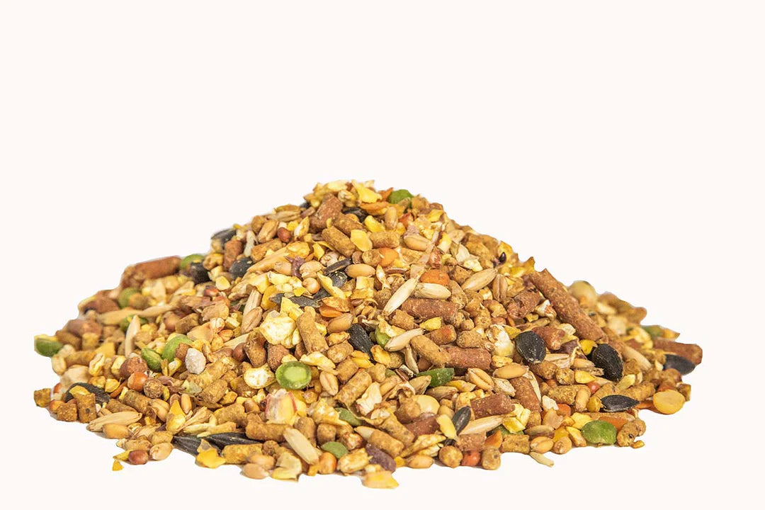 Henhouse Reserve Feed for Chickens 30Lb