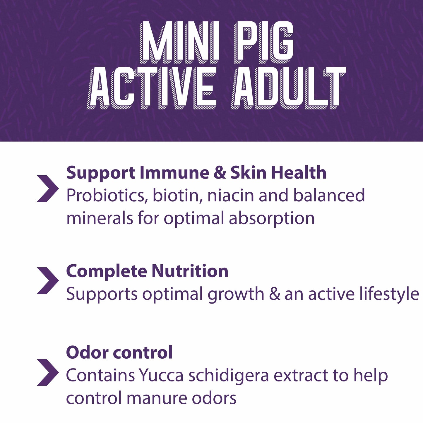 MINI PIG ACTIVE ADULT