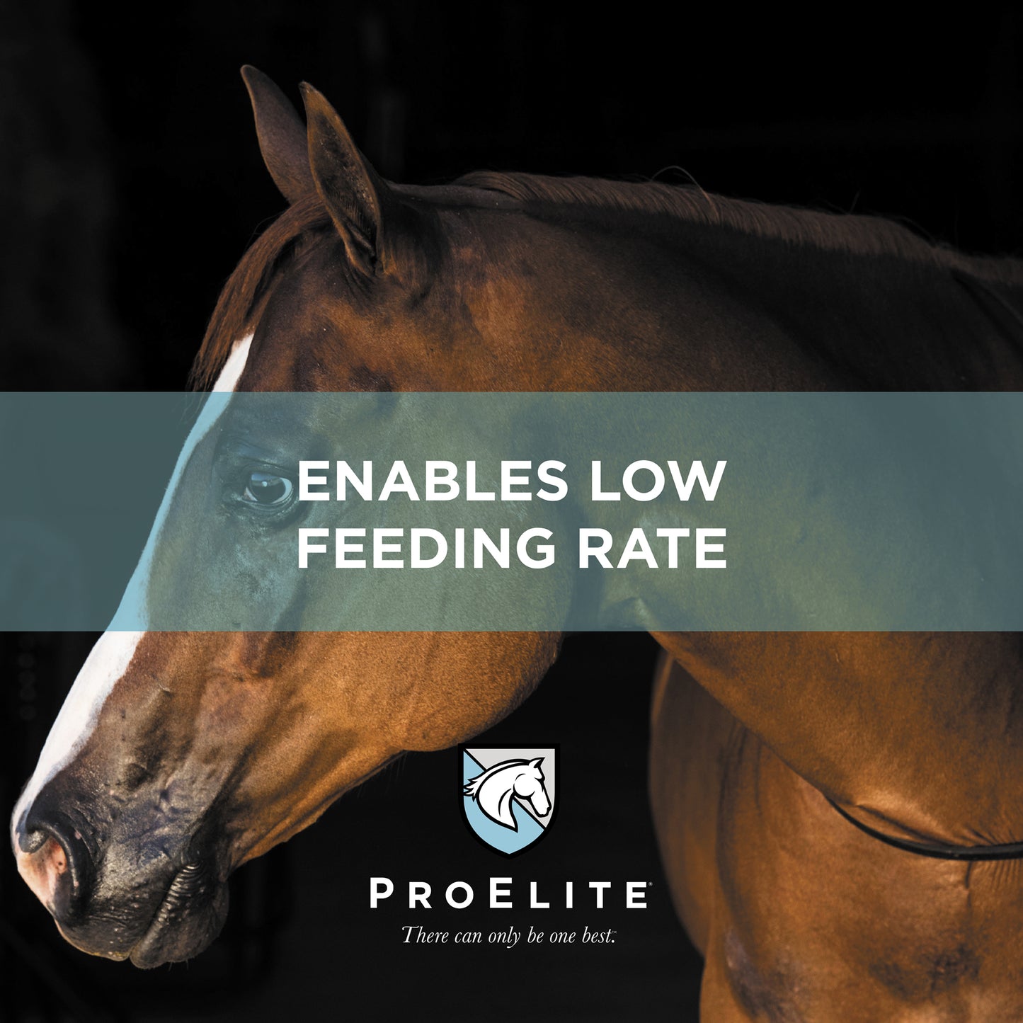 Nutrena ProElite Grass Advantage