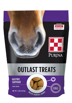 Purina Outlast Gastric Support Horse Treat Supplement 3.5lb