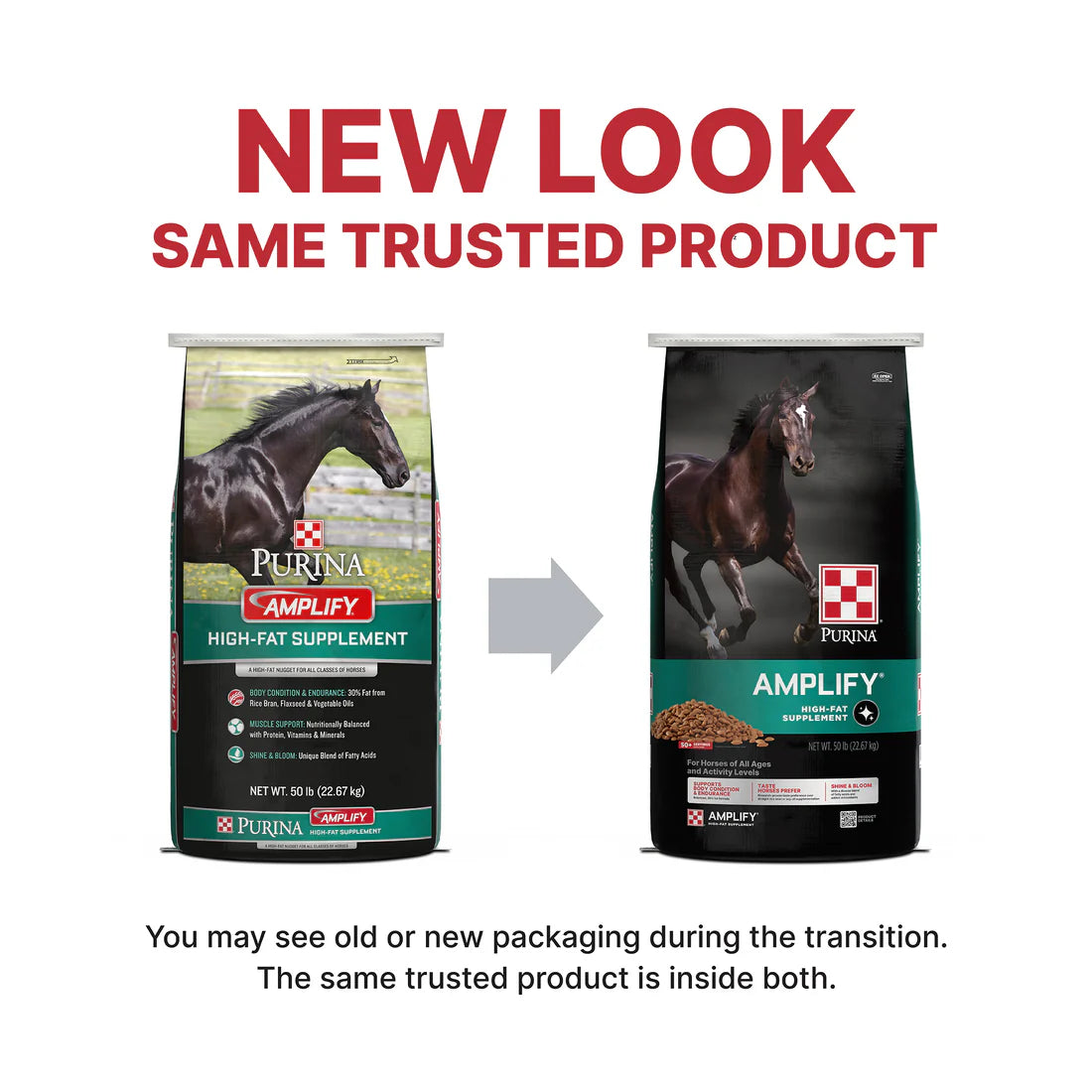Purina Amplify | High-Fat Horse Supplement 50LB