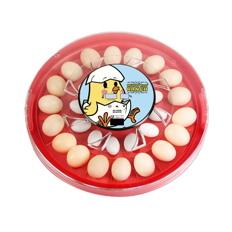 Rugged Ranch 30 Egg Incubator – Easy Hatch for Poultry