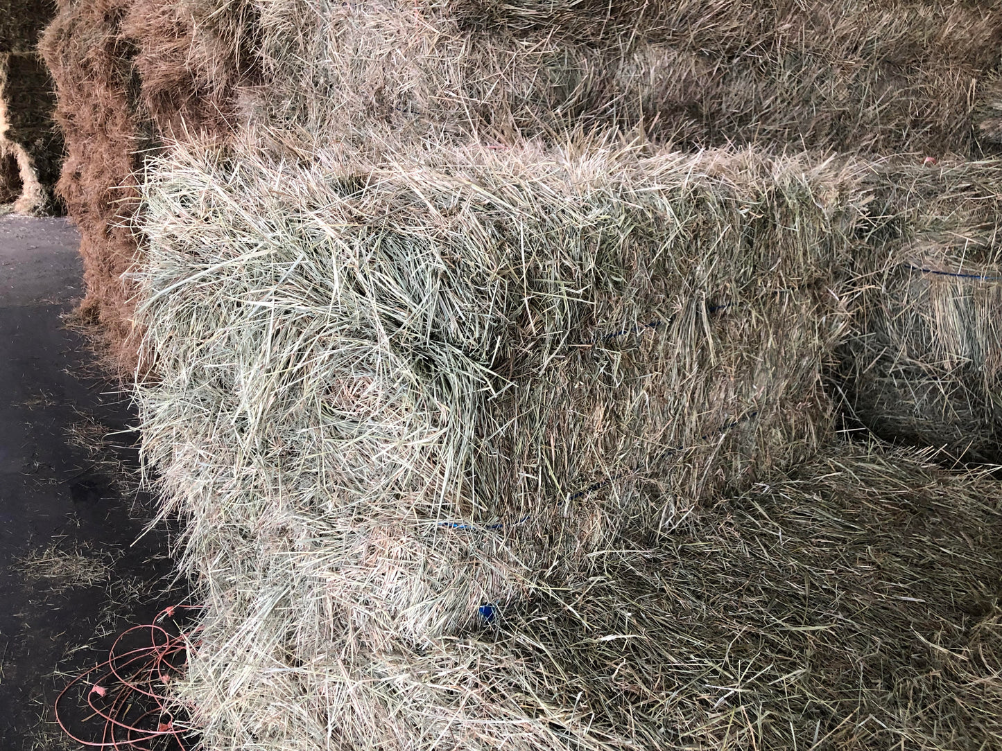 Our horse quality two strand Bermuda is available pickup or delivery from each of our OKC metro locations. Bermuda is recommended for horses that have a balanced exercise program; it is an excellent source of energy.
