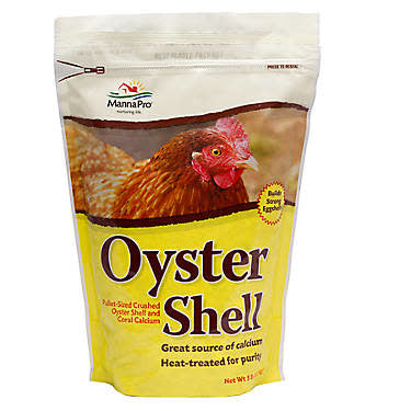 OYSTER SHELL