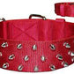 SPIKED DOG COLLAR