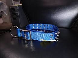 SPIKED DOG COLLAR